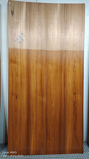 laminates - Veneer Teak of Brand Club Material Studio