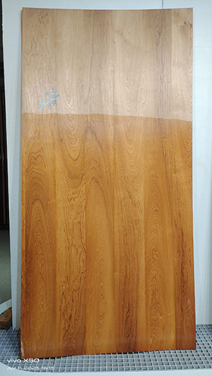 laminates - Veneer Teak of Brand Club Material Studio