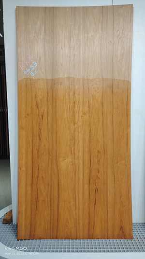 laminates - Veneer Teak of Brand Club Material Studio